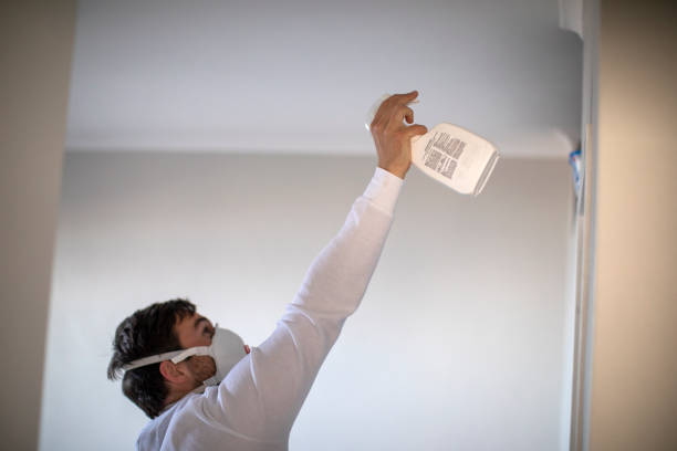 Best HVAC Mold Remediation in Ben Avon, SC